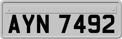 AYN7492
