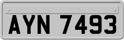 AYN7493