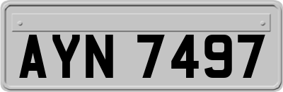 AYN7497
