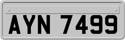 AYN7499