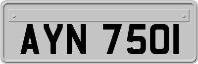 AYN7501