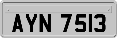 AYN7513