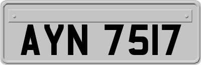 AYN7517