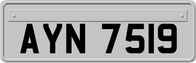 AYN7519