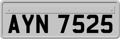 AYN7525