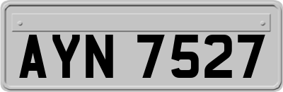 AYN7527