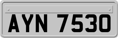 AYN7530