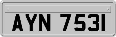 AYN7531
