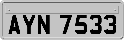 AYN7533