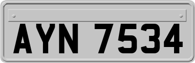 AYN7534