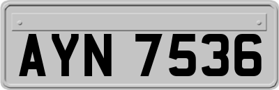 AYN7536