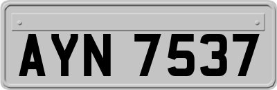 AYN7537