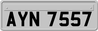 AYN7557