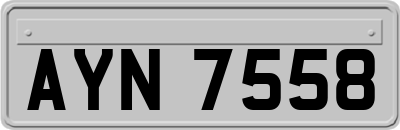 AYN7558