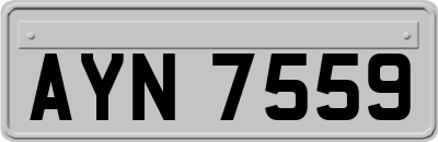 AYN7559