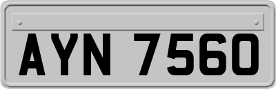 AYN7560