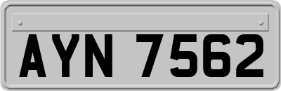 AYN7562