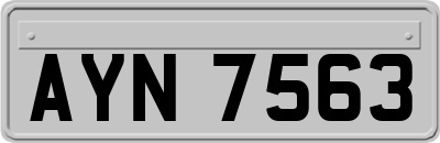 AYN7563