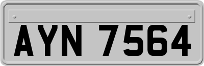 AYN7564