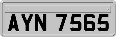 AYN7565