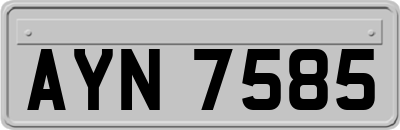 AYN7585