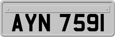 AYN7591