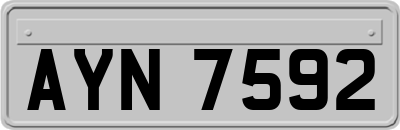 AYN7592