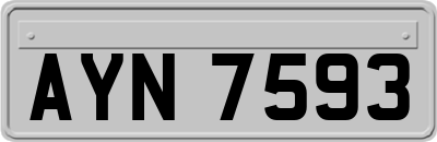 AYN7593