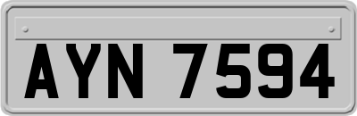 AYN7594