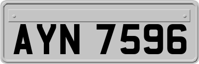 AYN7596