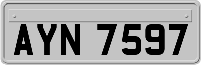 AYN7597