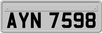 AYN7598