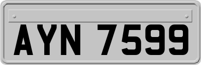 AYN7599