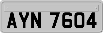 AYN7604