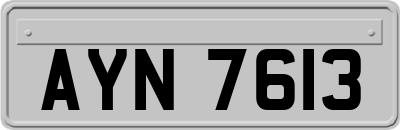 AYN7613