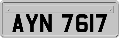 AYN7617