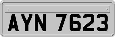 AYN7623