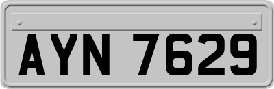 AYN7629