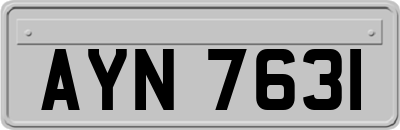 AYN7631