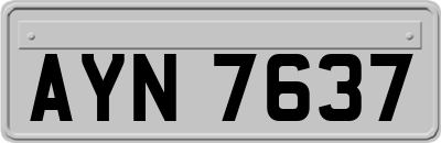 AYN7637