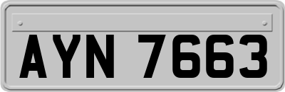 AYN7663