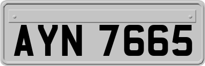 AYN7665
