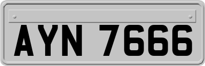 AYN7666