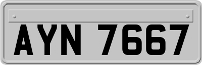AYN7667