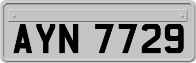 AYN7729