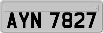 AYN7827