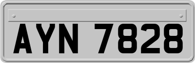 AYN7828