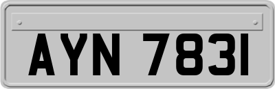 AYN7831