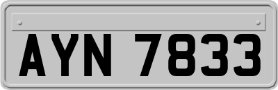AYN7833