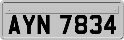 AYN7834